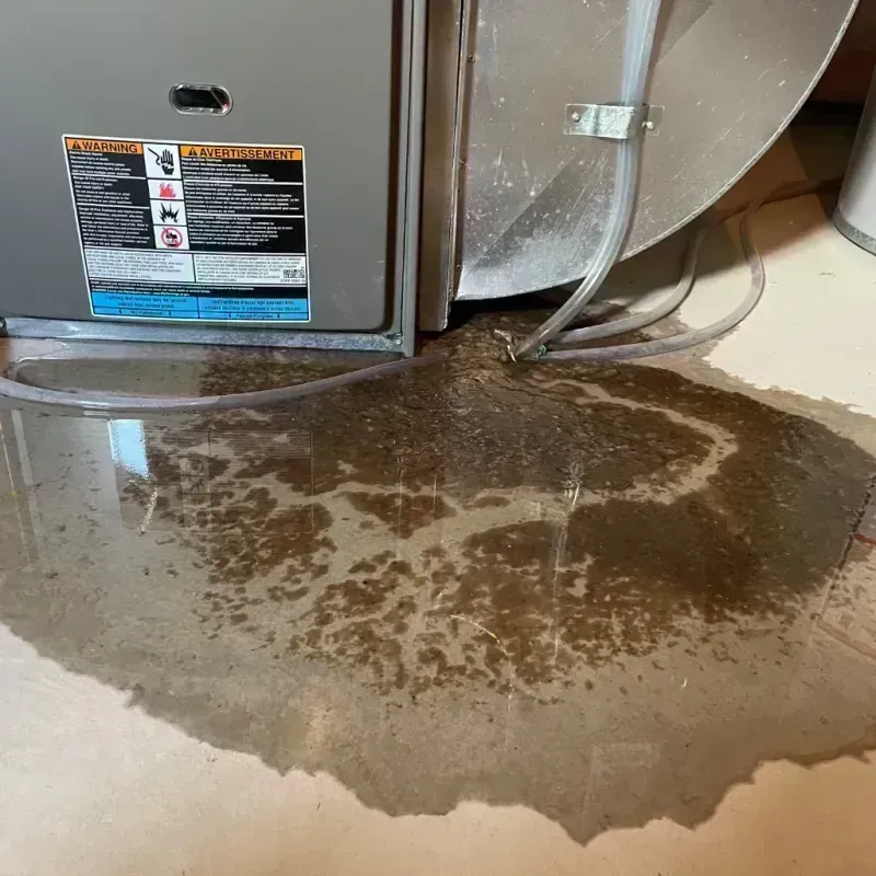 Appliance Leak Cleanup in Chehalis, WA